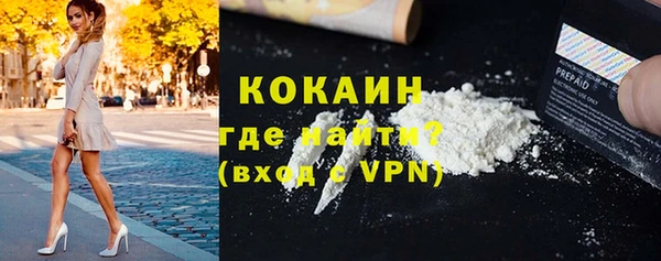 твердый Алексин