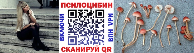 Галлюциногенные грибы MAGIC MUSHROOMS Любань